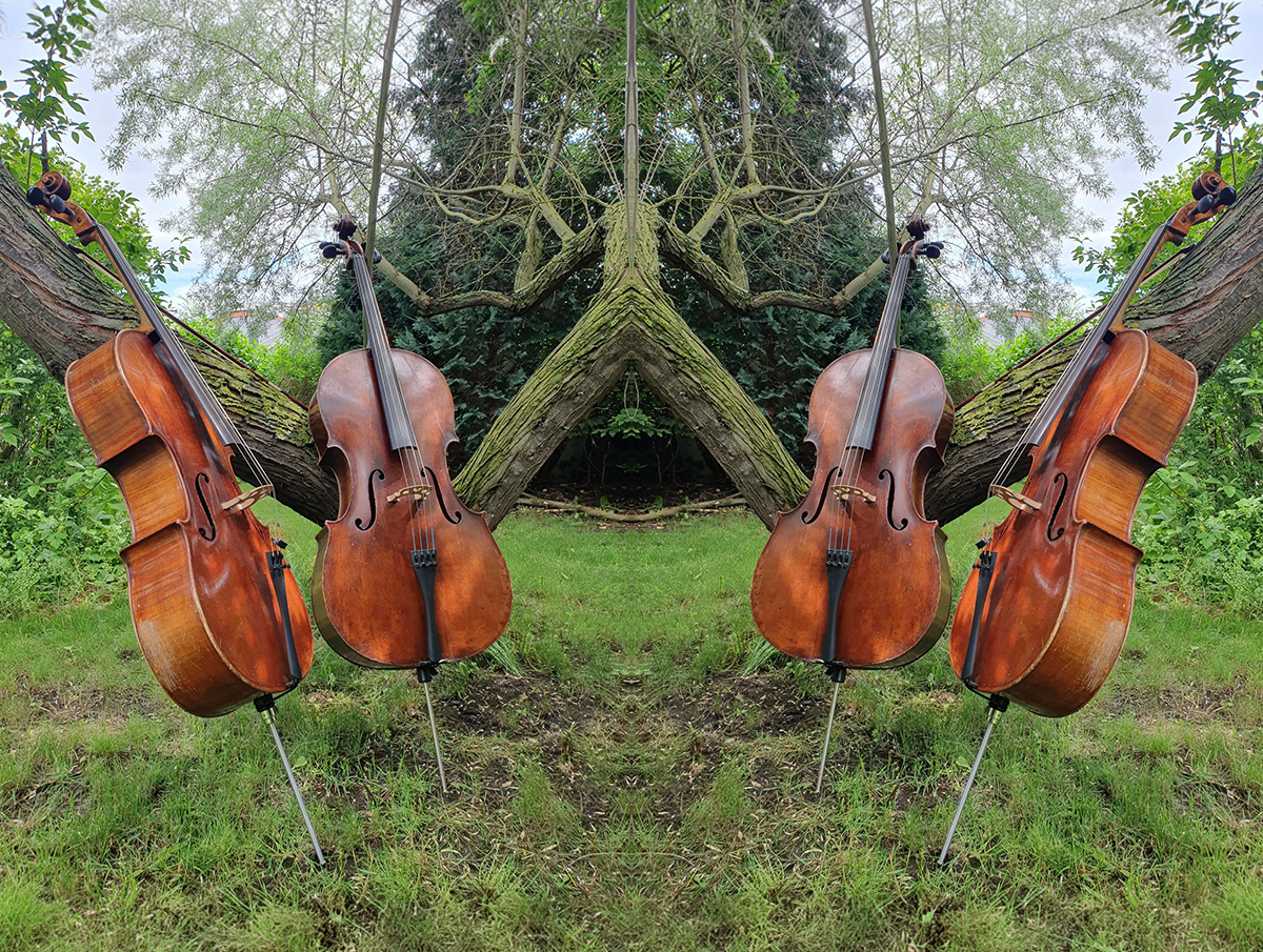 Celloquartett