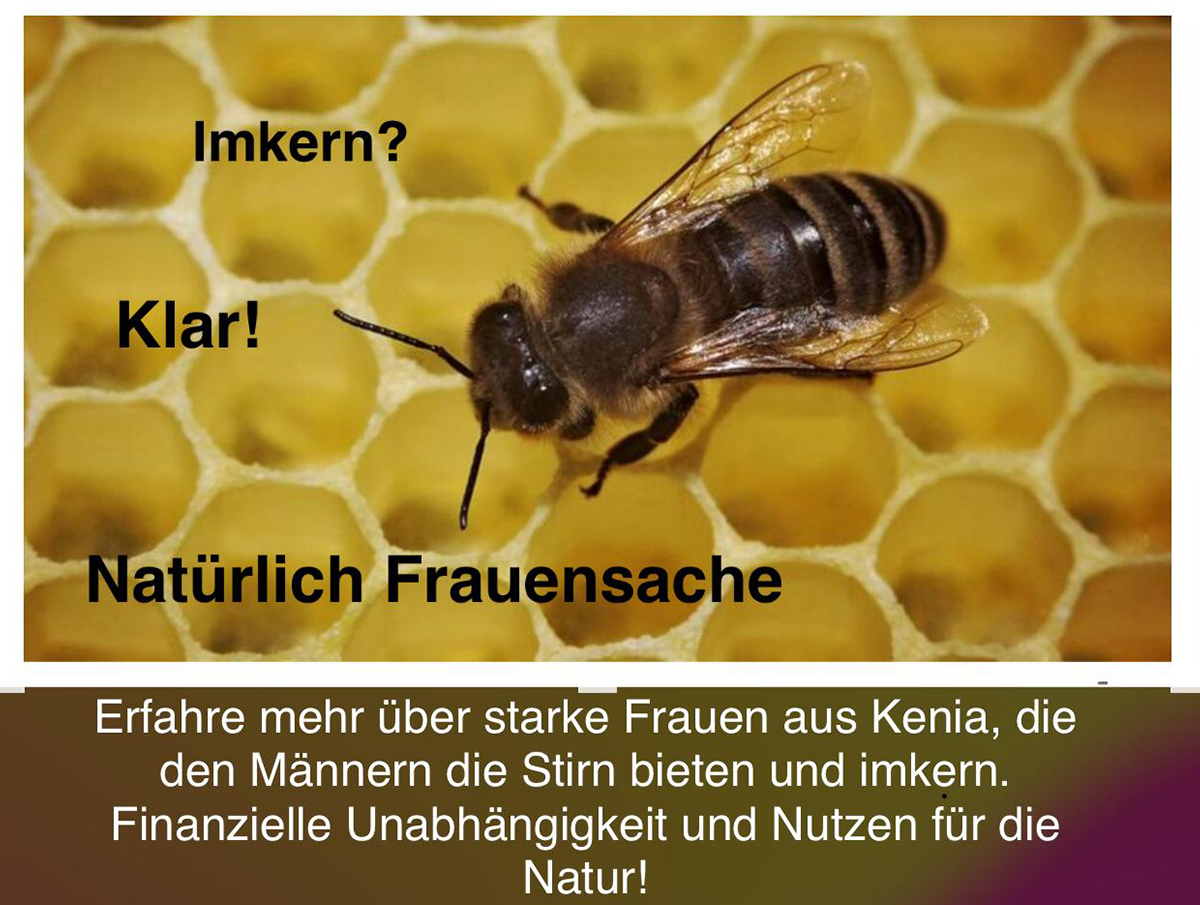 Nachhaltigkeitsworkshop